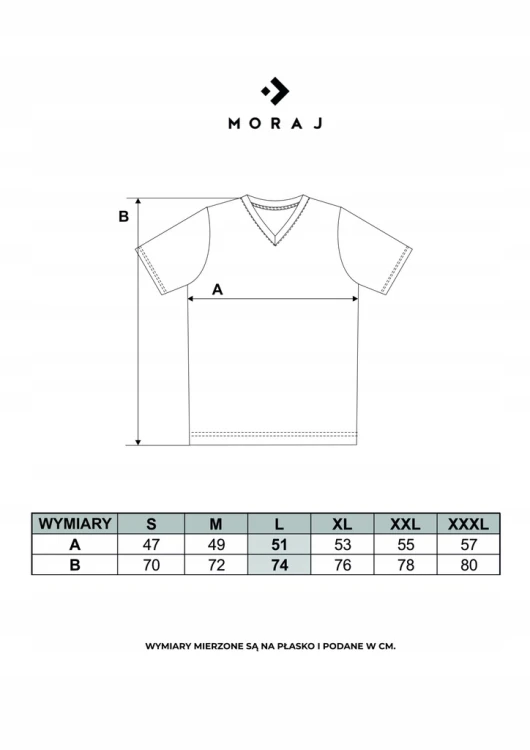 T-shirt męski Moraj dekolt V Premium S biały