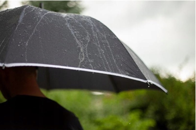 redFOX Parasol automatyczny | Bradyn