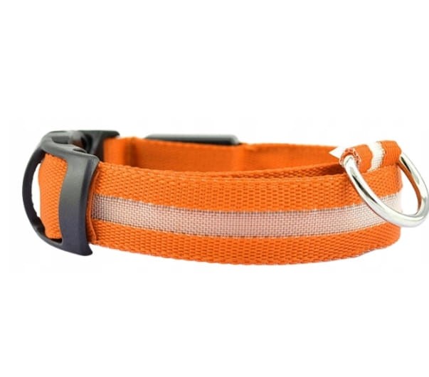 Obroża dla psa materiałowa świecąca r. XL - kolor niebieski