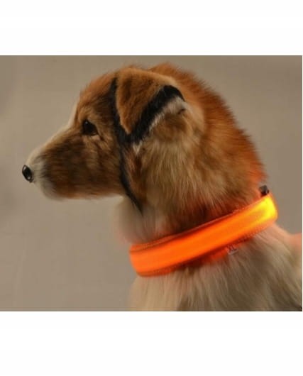 Obroża dla psa materiałowa świecąca r. XL - kolor niebieski